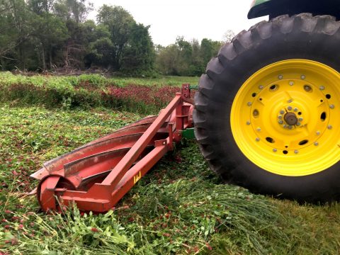 Grow Haiti - Farming Tools Rental
